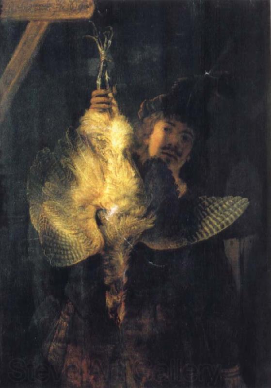 REMBRANDT Harmenszoon van Rijn Self-Portrait with a Dead Bittern Norge oil painting art